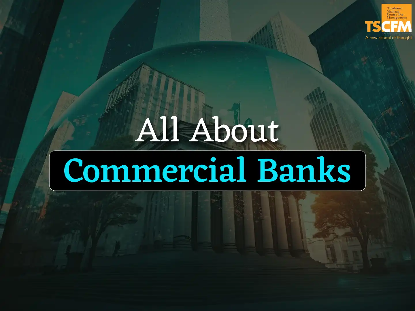 commercial banks types, importance, functions